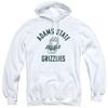 Adams State University Official One Color Logo Unisex Adult Pull-Over Hoodie, White, 3X-Large view 2