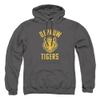 DePauw University Official One Color Logo Unisex Adult Pull-Over Hoodie, Charcoal, 2X-Large view 1
