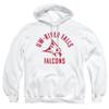 University of Wisconsin-River Falls Official One Color Logo Unisex Adult Pull-Over Hoodie, White, X-Large view 1