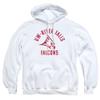 University of Wisconsin-River Falls Official One Color Logo Unisex Adult Pull-Over Hoodie, White, X-Large view 2