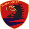 Albanian Eagles State Police Rapid Intervention Force Self-Adhesive Vinyl Decal view 1
