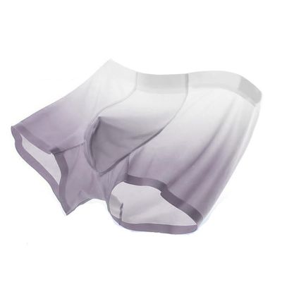 Breathable Men's Ice Silk Underwear with Gradient Color Fast Drying Sports Box Briefs (US, Numeric, 29, 33, Regular, Regular, Grey)