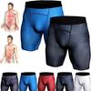 2PCS Ionic Energy Field Therapy Compression Shorts for Men, Mens Workout Spandex Shorts, Running Performance Baselayer Underwear, Men's Tight Shorts (E,L) view 1