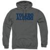 University of Toledo Official Alumni Unisex Adult Pull-Over Hoodie, Charcoal, Medium view 1