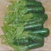3 3/4" Bass Tube Watermelon Candy Fishing Plastic Lure Worm 50 Count Bulk Bag view 1