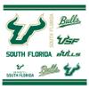 Rico Industries NCAA South Florida Bulls - USF Double Wall 20oz Tritan Tumbler view 2