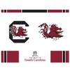 Rico Industries NCAA South Carolina Gamecocks Double Wall 16oz Tritan Tumbler view 2