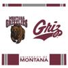 Rico Industries NCAA Montana Grizzlies Double Wall 20oz Tritan Tumbler view 2