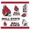 Rico Industries NCAA Ball State Cardinals Double Wall 20oz Tritan Tumbler view 2