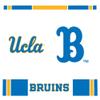 Rico Industries NCAA UCLA Bruins Double Wall 20oz Tritan Tumbler view 2