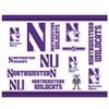 Rico Industries NCAA Northwestern Wildcats Double Wall 20oz Tritan Tumbler view 2