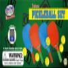 Matty's Toy Stop Deluxe Pickleball Set, Featuring 4 Plastic Paddles, 6 Pickleball Balls and Storage Bag view 2