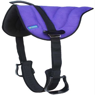 CHALLENGER Horse Western Suede Neoprene Anti-Slip Bareback Saddle Pad Stirrups 39187PR