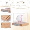 Baseball Display Case with Engraving, UV Protected Acrylic Storage Box, Wood Stand (Beech Wood, Silver-Engraving) view 4