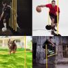 SRNSAEB 6 Pack Removable Agility Training Poles, 1.5m Tall Heavy Duty Slalom Training Agility Poles with Weighted Rubber Base for Improve Agility/Speed/Footwork view 2