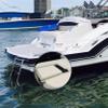 2 Step Stainles Steel Telescoping Dock Ladder,Telescopic Ladder Folding Rear Entry Pontoon Boat Ladder,for Lake,Marine Boarding,Pool view 2