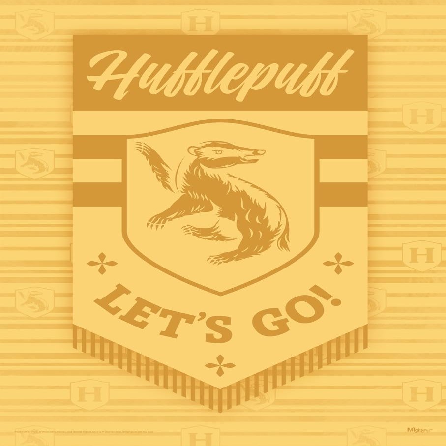 MIGHTYPRINT Harry Potter  Quidditch Hufflepuff House  Durable 17 x 24 Wall Art  NOT Made of Paper  Officially Licensed Collectible