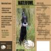 HuntEmUp Waterfowl Training Scent for Dogs, 2oz  Scents to Field-Train Hunting Dog for Tracking and Retrieving Ducks and Geese for Upland Hunts view 2