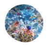 Cute Sea Fish Bucket Hats Fashion Sun Cap Packable Outdoor Ocean Animal Fisherman Hat for Women and Men view 4
