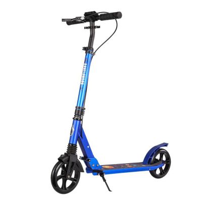 GLDDFDG Scooter for Kids Ages 8-12,Folding Scooter for Adults/Teens with 4 Adjustment Levels,Aluminum Alloy Frame,Lightweight,Front And Rear Shock-Absorbing System,Anti-Slip Handlebars,200Lb Weight Li