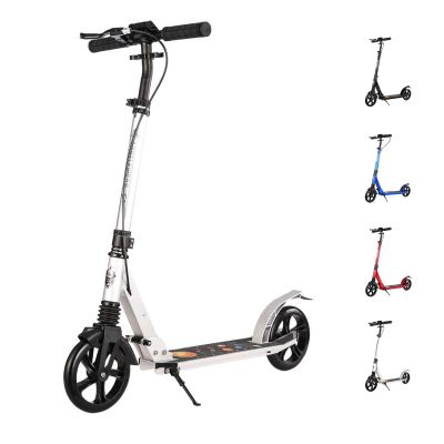 GLDDFDG Kick Scooter for Kids Ages 8-12 & Scooter for Teens 12 Years and Up-Dual-Brake with Dual Shock-Absorbing-2 Wheel Scooter for Boys & Girls-Foldable Kick Scooter Adult-Up to 300 Lbs,White