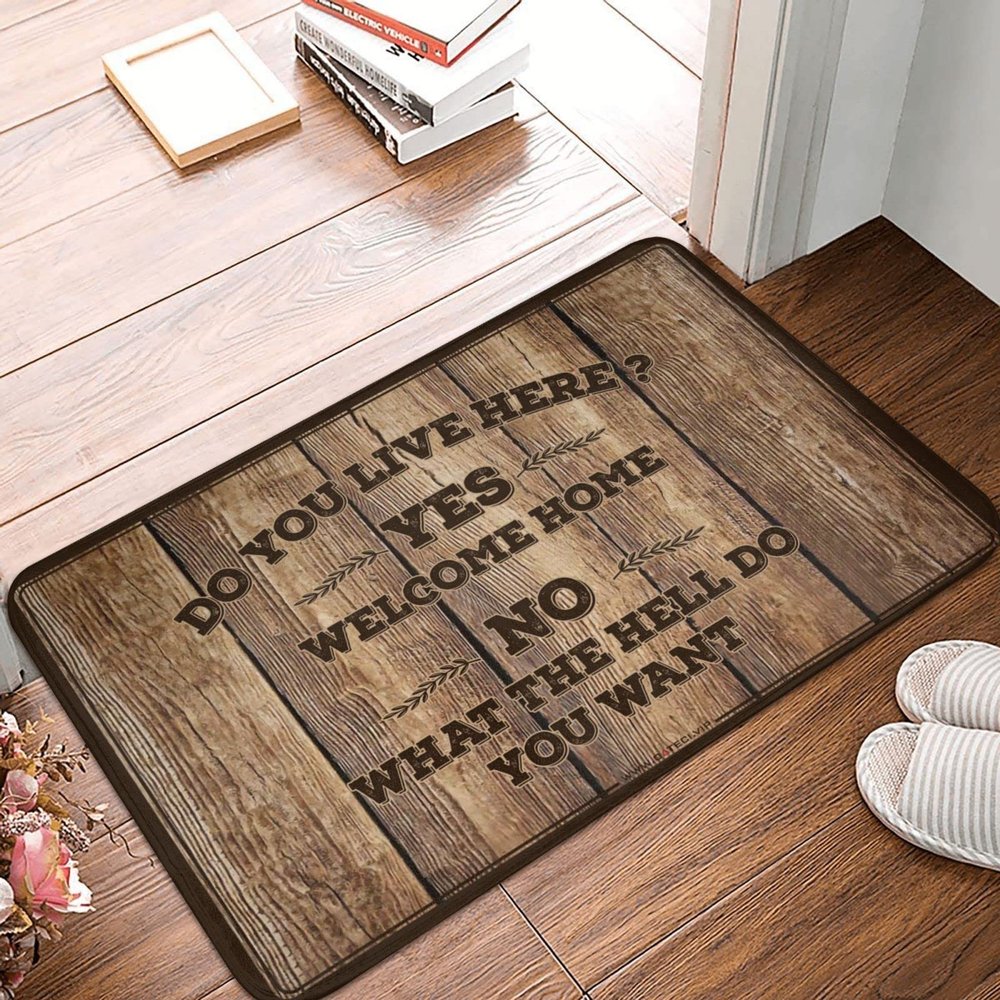 Outdoor Rug Doormat Do You Live Here Rug Summer Welcome Mat Door Mat Outdoor Entrance (Size : 40X60CM)