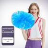 2 Pcs Cheerleading Pom Poms for Kids Adults, Metallic Matte Iridescent Pom Poms Cheerleader with Baton Handle for Boys Girls Cheer Poms Team Spirit Cheering Dance School Sport Games Competition view 2