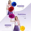 2 Pcs Cheerleading Pom Poms for Kids Adults, Metallic Matte Iridescent Pom Poms Cheerleader with Baton Handle for Boys Girls Cheer Poms Team Spirit Cheering Dance School Sport Games Competition view 4