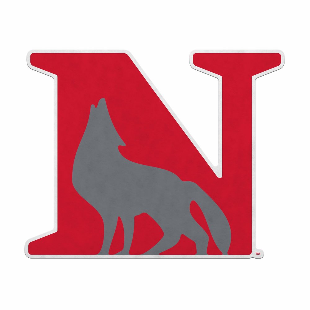 Rico Industries NCAA Newberry Wolves Primary Shape Cut Pennant - Home and Living Room Dcor - Soft Felt EZ to Hang
