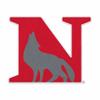 Rico Industries NCAA Newberry Wolves Primary Shape Cut Pennant - Home and Living Room Dcor - Soft Felt EZ to Hang view 1