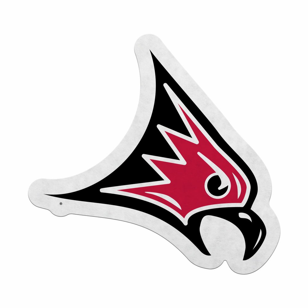 Rico Industries NCAA Wisconsin-River Falls Falcons Primary Shape Cut Pennant - Home and Living Room Dcor - Soft Felt EZ to Hang