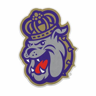 Rico Industries NCAA James Madison Dukes Primary Shape Cut Pennant - Home and Living Room Dcor - Soft Felt EZ to Hang