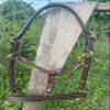 Leaders Leather Halter for Horses with Customized Engraved Name Plate Option Halter for Horse (Cob Size) view 4
