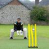 FORTRESS Flexi Cricket Stumps [Multi Pack with Base] | Cricket Training Equipment | Suitable for Bowling & Fielding Drills (1x Freestanding Base, Yellow, 3X Full Size Flexi Stumps) view 2