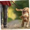 BESPORTBLE 6pcs Heavy Duty Brass Snap Hooks Swivel Trigger Clasp for Dog Collars Pet Leashes Keychains Clips for Multipurpose Use view 4