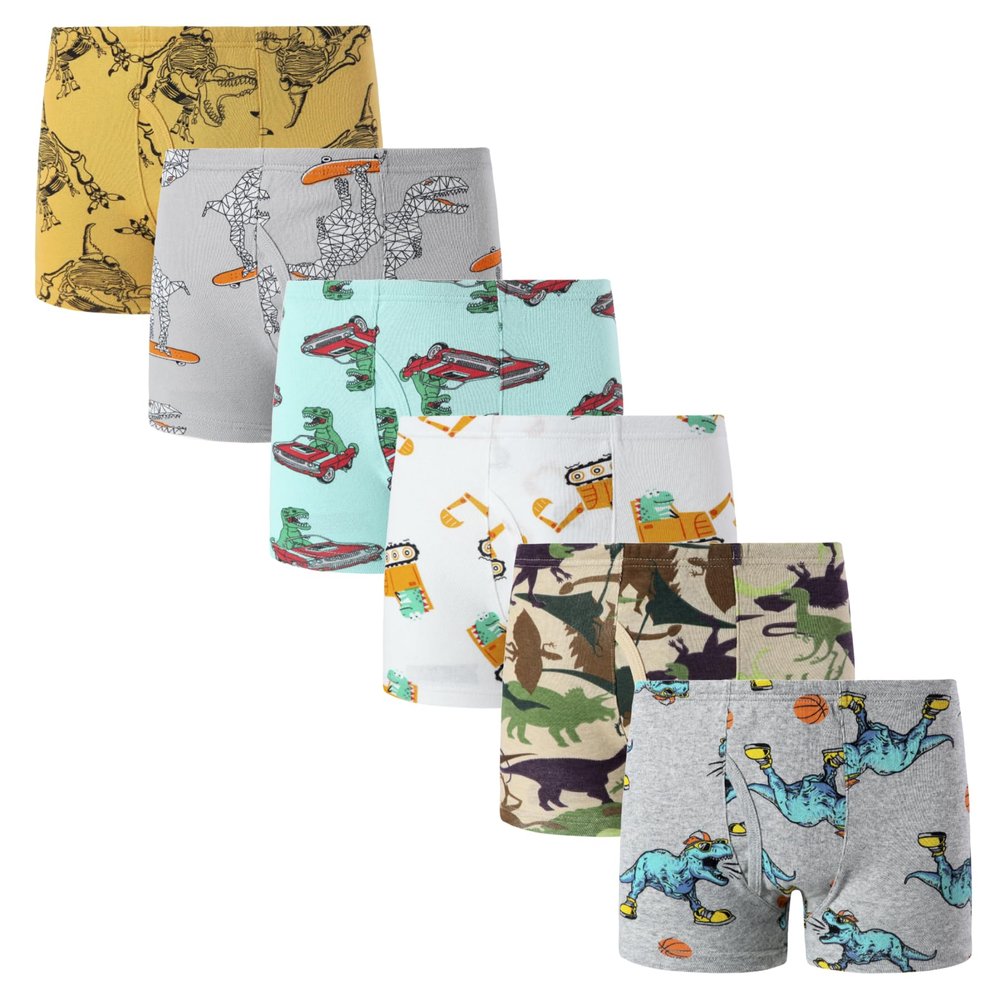 Winging Day Boys' Cotton 6-Pack Dinosaurs Boxer Brief Underwear Size 5