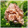 AITAF Heavy Duty Army Camouflage Netting Camouflage Woodland Netting 1m 2m 3m 4m 5m for Camping Outdoor Jungle Camouflage Woodlands Camo Net Netting (Size : 1m x 3m) view 3