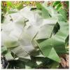 AITAF Camouflage Netting Camo Net 1m 2m 3m 4m 5m Large Army Netting Camouflage Kids Mesh Netting Blind Netting for Hunting, Sun Shade, Camping, Outdoor, Military Theme Party (Size : 2m x 6m) view 3