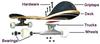 Doom Sayers Tokura Snake Shake 3D Skateboard Deck -8.75 - Assembled AS Complete Skateboards view 2