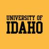 AS01 - Idaho Vandals Basic Block T Shirt - X-Large - Gold view 2