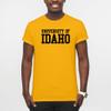 AS01 - Idaho Vandals Basic Block T Shirt - X-Large - Gold view 4