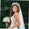 Beavorty Chic Crown Bridal Headpiece for Weddings Elegant Rhinestone Wedding Headwear and Lightweight for Bride Parties and Fancy Dress Events view 4