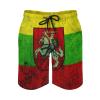 Lithuanian Flag Mens Swim Trunks Quick Dry Beach Shorts Casual Sports Board Shorts Swimwear with Pocket M view 2