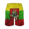 Lithuanian Flag Mens Swim Trunks Quick Dry Beach Shorts Casual Sports Board Shorts Swimwear with Pocket M view 3