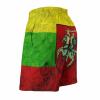 Lithuanian Flag Mens Swim Trunks Quick Dry Beach Shorts Casual Sports Board Shorts Swimwear with Pocket M view 4