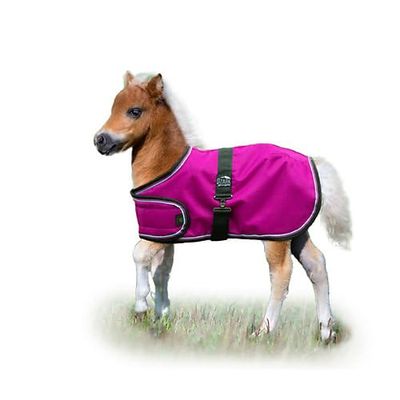 Ozark Mini Adjustable Foal Blanket M Rasp/Turq