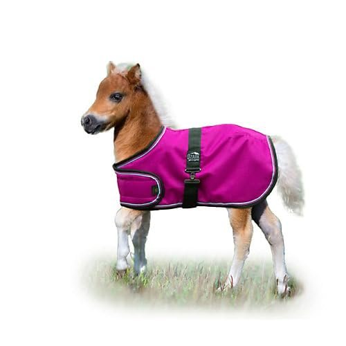 Ozark Mini Adjustable Foal Blanket M Rasp/Turq
