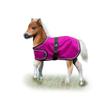 Ozark Mini Adjustable Foal Blanket M Rasp/Turq view 1
