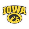 Iowa Hawkeyes Vinyl Decal Sticker 12 Inch Clear Officially Licensed Collegiate Product view 1