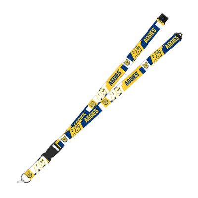 Rico Industries NCAA North Carolina A&T Aggies 19" x 1" Premium Unisex-Adult Safety Breakaway Lanyard - Flash